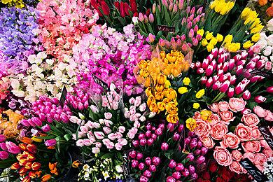 《死亡细胞》厂商新作《风中行者》要承担初代名气压力